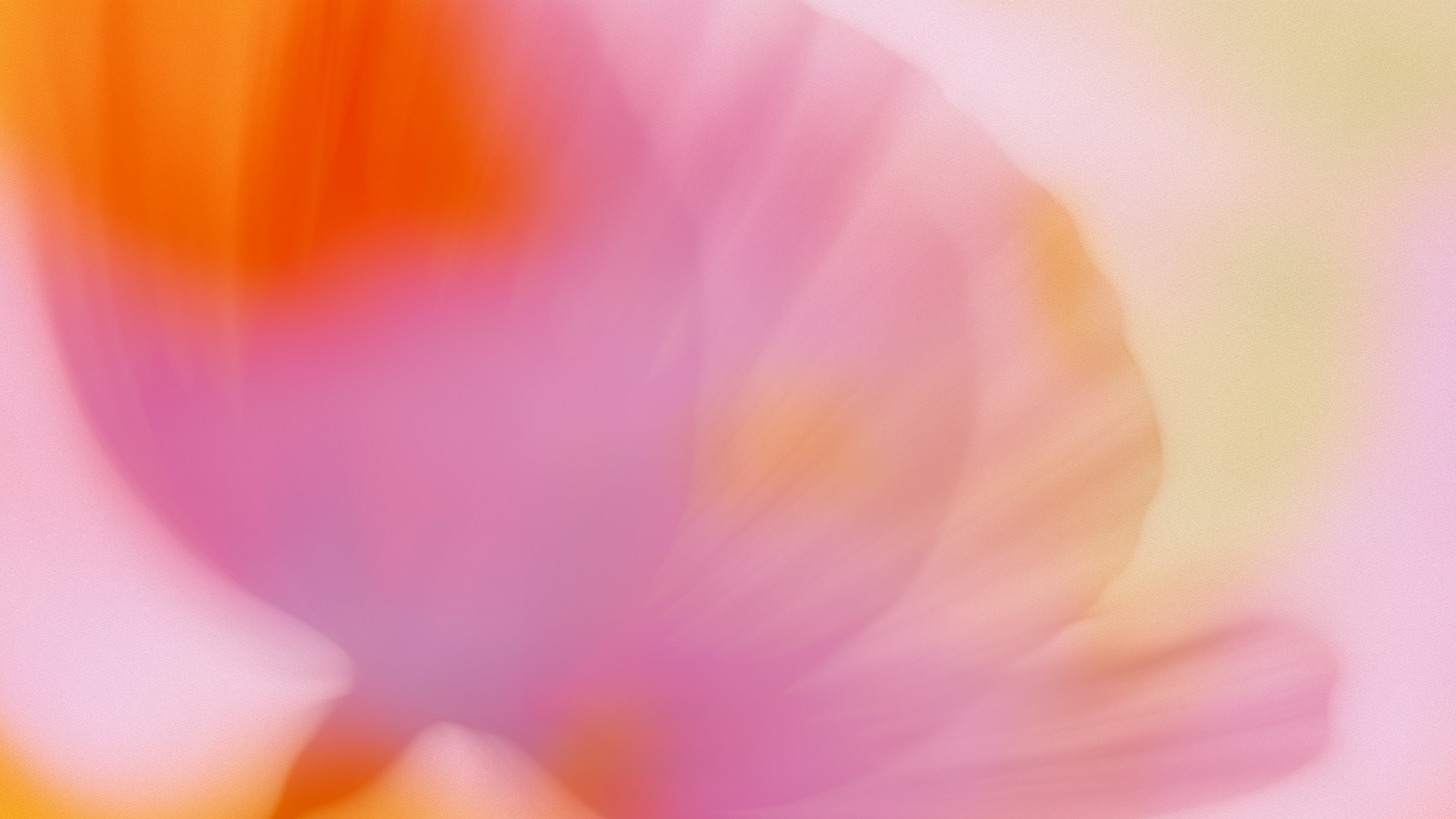 branding design services